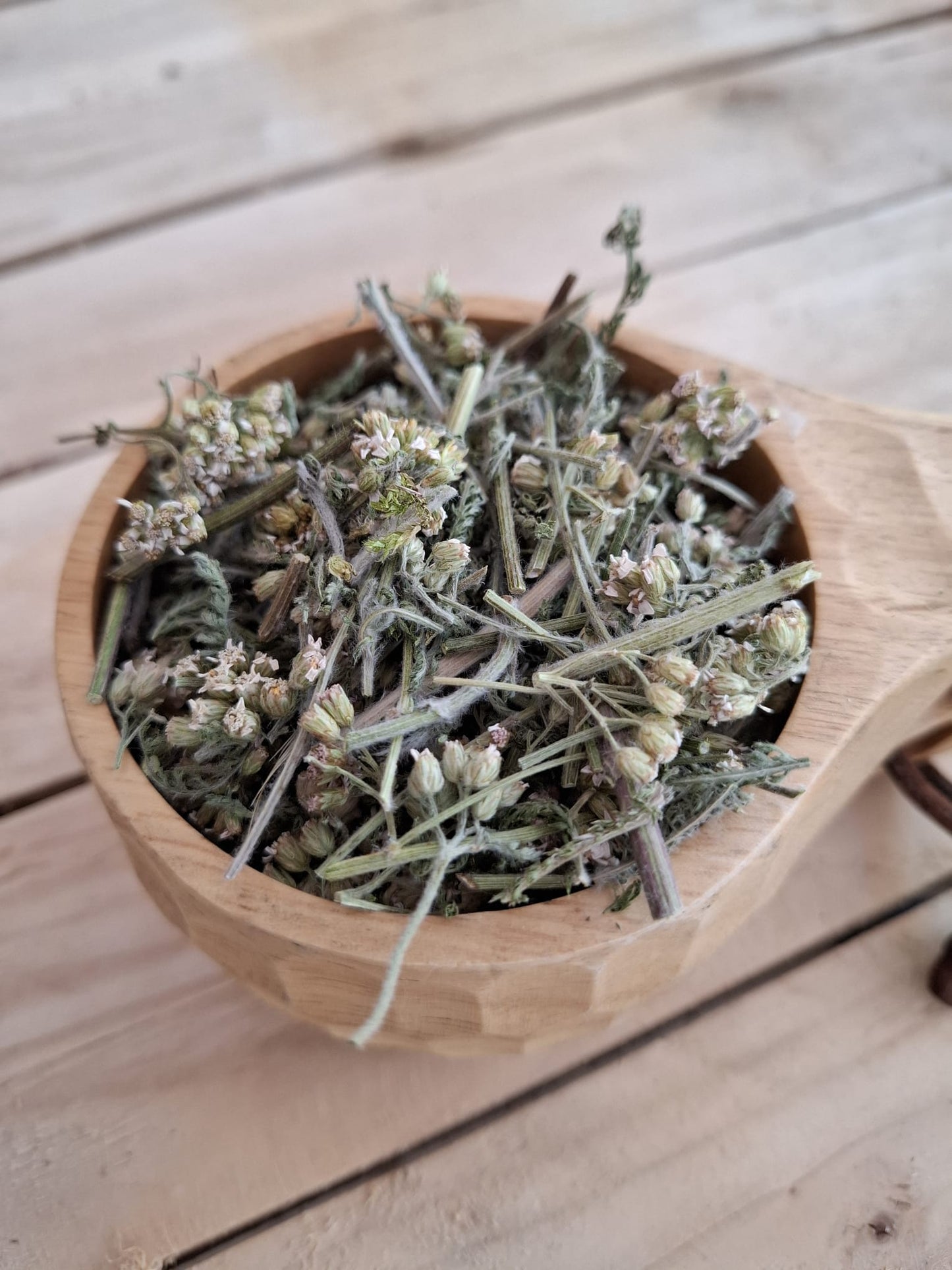 Yarrow (Achillea millefolium) Herb – dried hand-cut flowers, leaves & stems