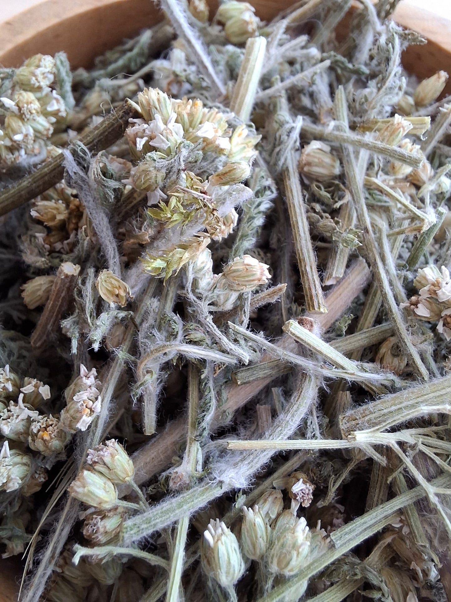 Yarrow (Achillea millefolium) Herb – dried hand-cut flowers, leaves & stems
