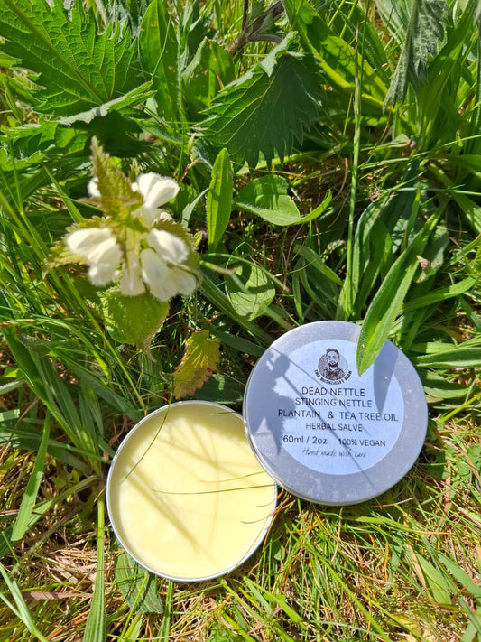 Foraged Natural Herbal Relief Salve for skin irritation and stings