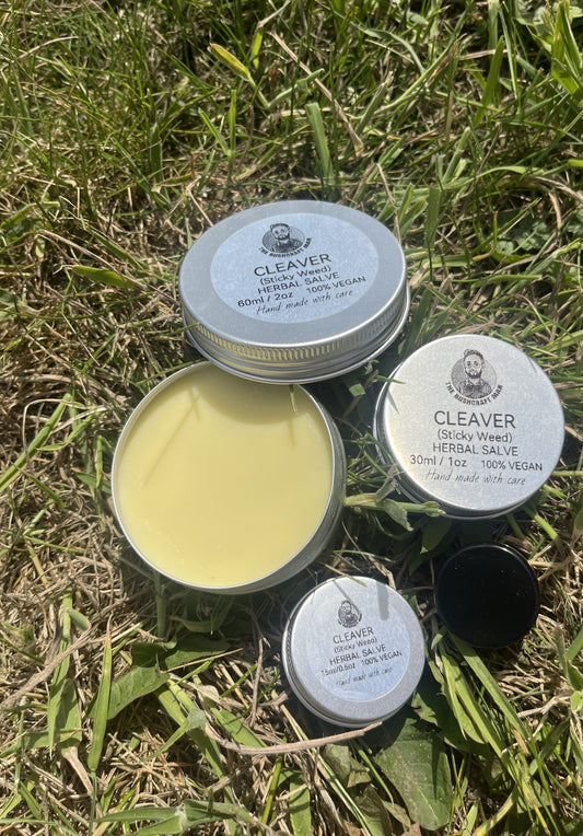 Cleavers ( Goose Grass, Sticky Weed) Salve